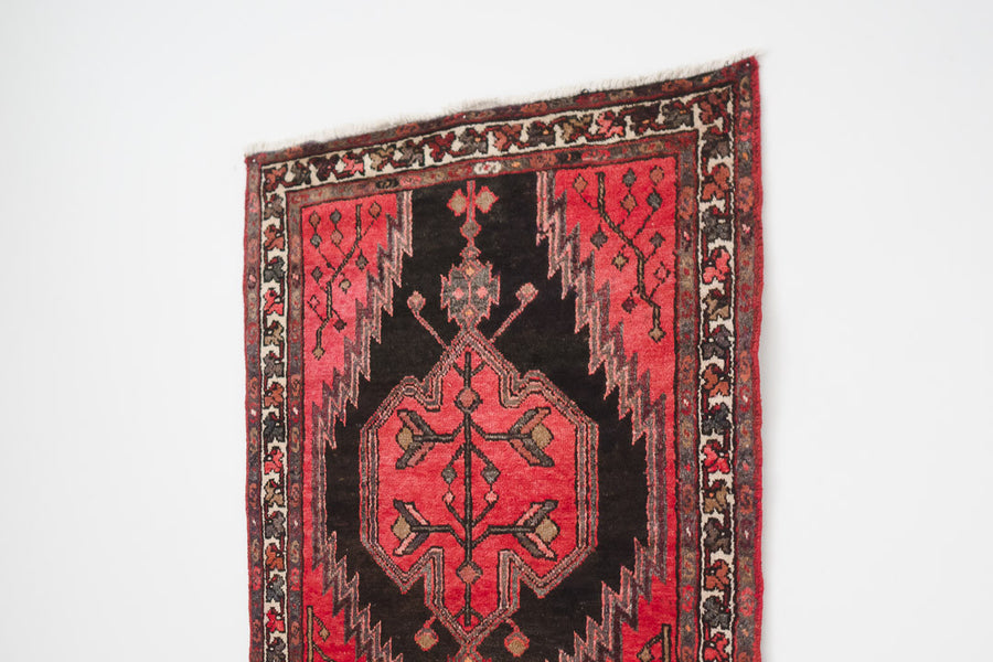 3.5x9 Persian Rug | AYANEH