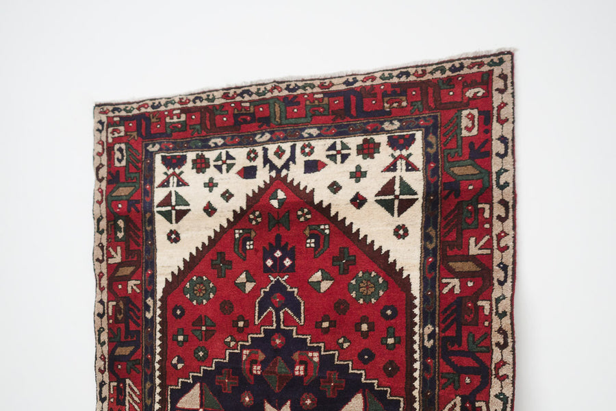 4x7 Persian Rug | HAMRAZ