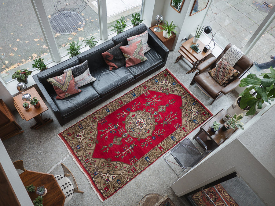 5x9 Turkish Rug | ALEYNA