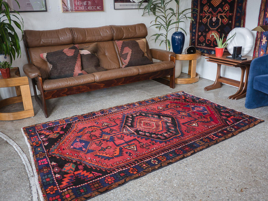 4x7 Persian Rug | FARINOUSH