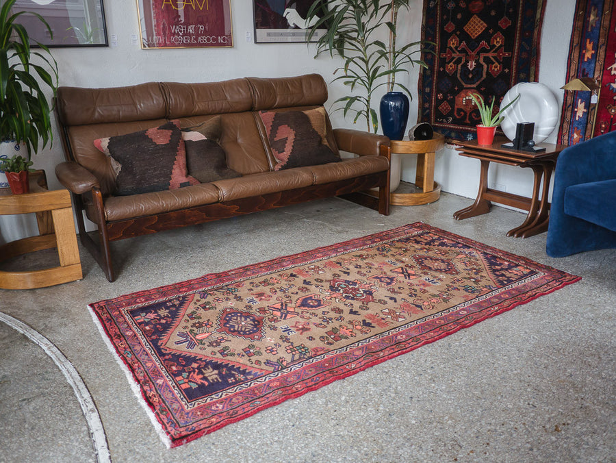 3.5x6.5 Persian Rug | AREESH