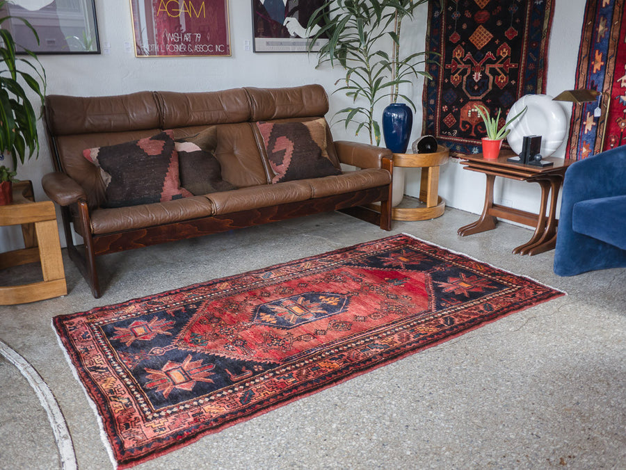 3.5x7 Persian Rug | BAHAREH