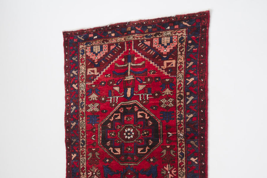 3x10 Persian Rug | NEELU