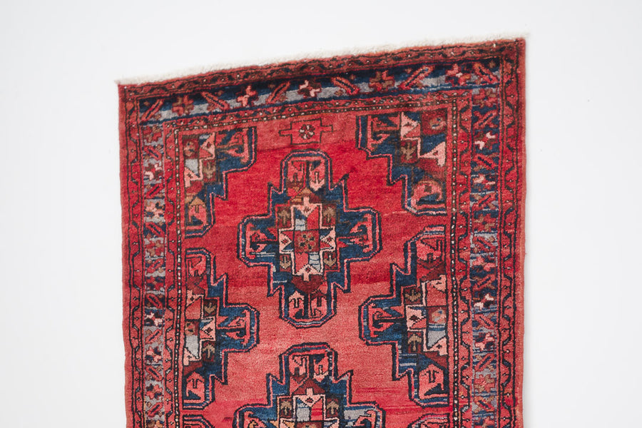 3.5x6.5 Persian Rug | NOUSHIN