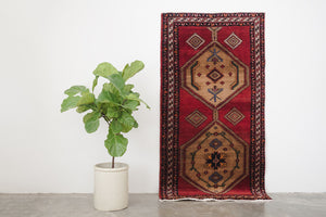 4x7 Persian Rug | RAMESH