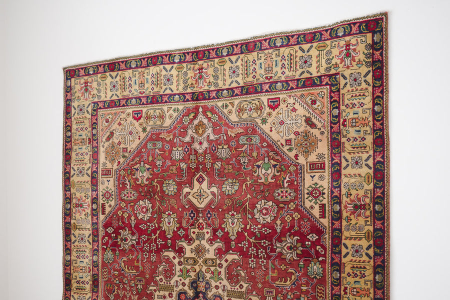 7x10 Persian Rug | AYEH