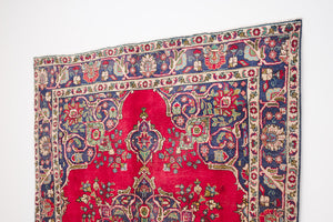 7x10 Persian Rug | NAHIDA