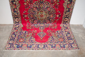 7x10 Persian Rug | NAHIDA