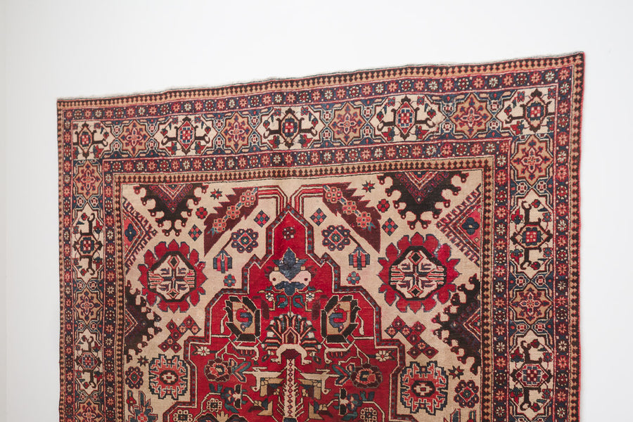 8.5x11 Persian Rug | SOUZAN