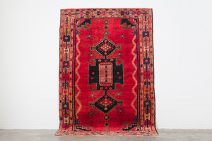 5x7 Persian Rug | VASHTI