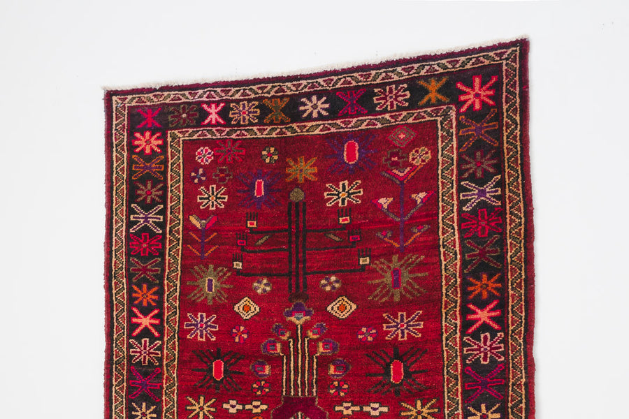 4x7.5 Persian Rug | ARDIN