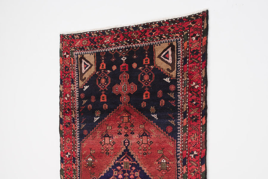 3.5x7 Persian Rug | ARMEEN