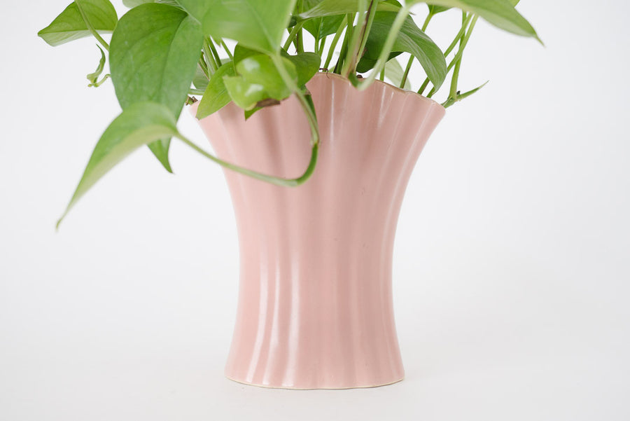 Pothos & Vtg Bauer Planter