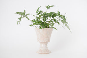 Fern & Vtg Speckled Pedestal Planter