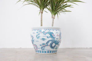 Dragon Tree in Vtg Koi Planter