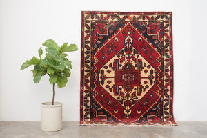 5x7 Persian Rug | BEHRAM