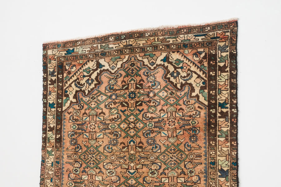 3.5x7 Persian Rug | DALIR