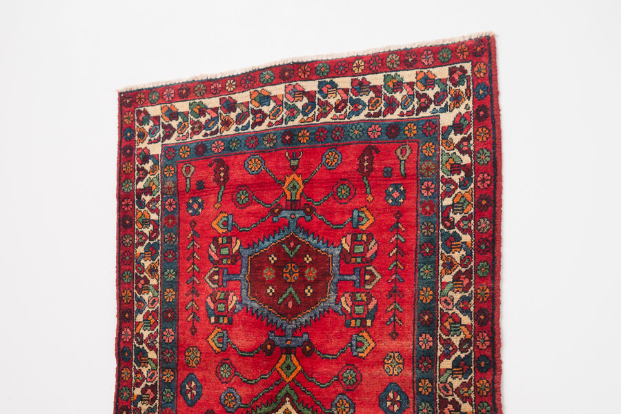 3.5x6 Persian Rug | DARAB