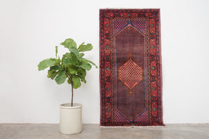 3.5x6.5 Persian Rug | DASTAN