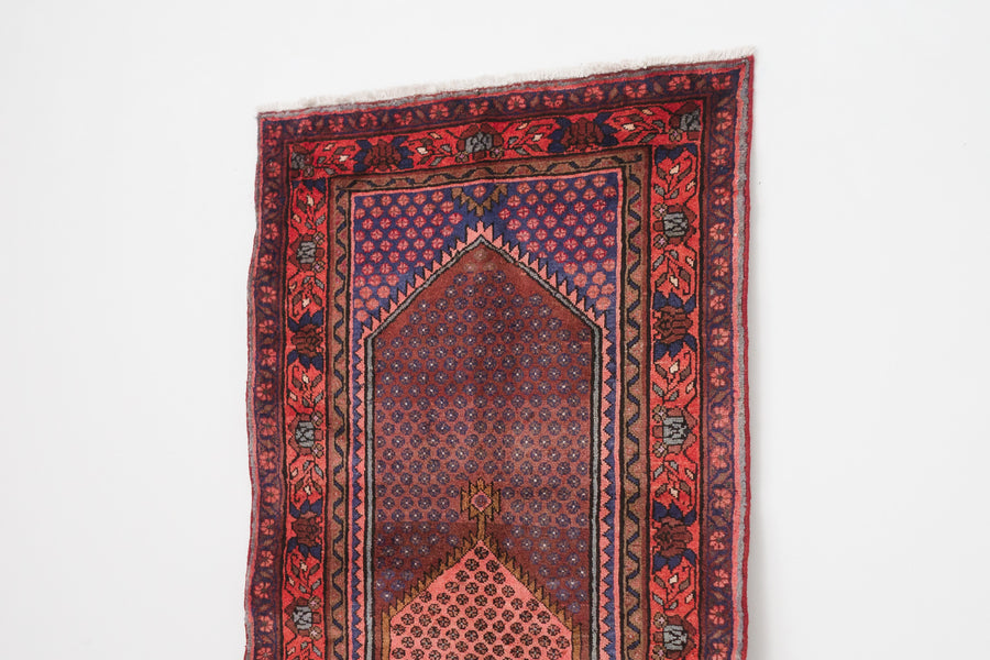 3.5x6.5 Persian Rug | DASTAN