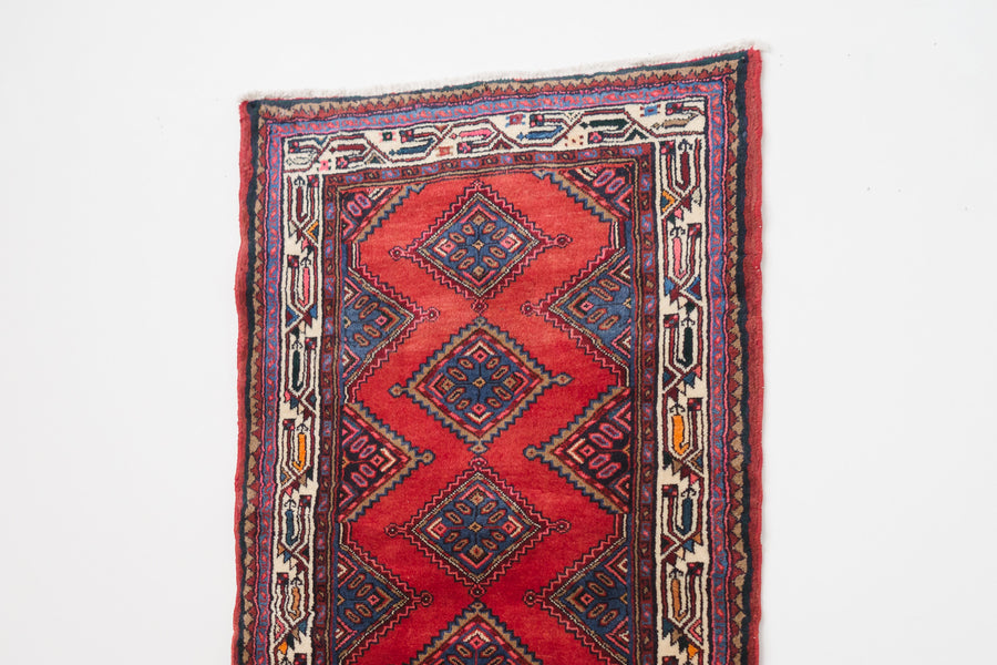 3x9.5 Persian Rug | DAWAR