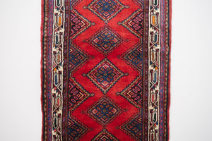 3x9.5 Persian Rug | DAWAR