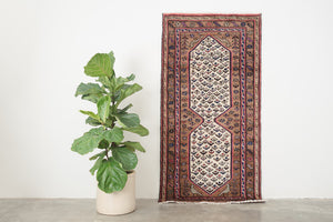 3x6 Persian Rug | FARJAD