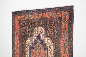 5x9.5 Persian Rug | NOVIN