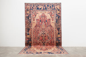 5x9.5 Persian Rug | RADEEN