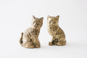 Brass Kittens