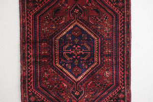 3.5x6 Persian Rug | GIV
