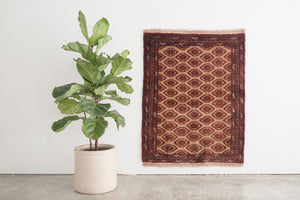 3x4 Persian Rug | EMAD