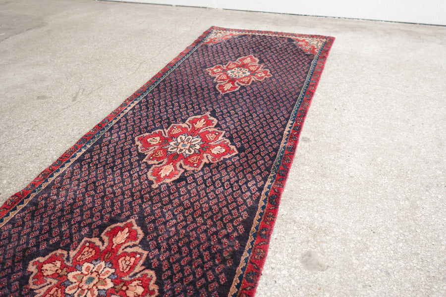 3x9 Persian Rug | AZIN