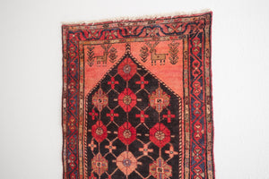 3.5x10 Persian Rug | MARMAR