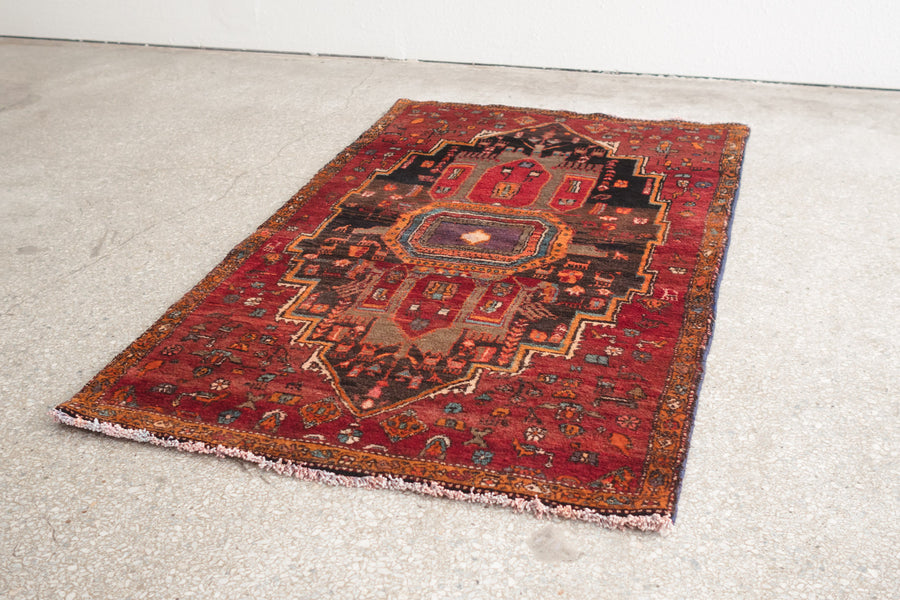 3.5x5.5 Persian Rug | MARZIEH