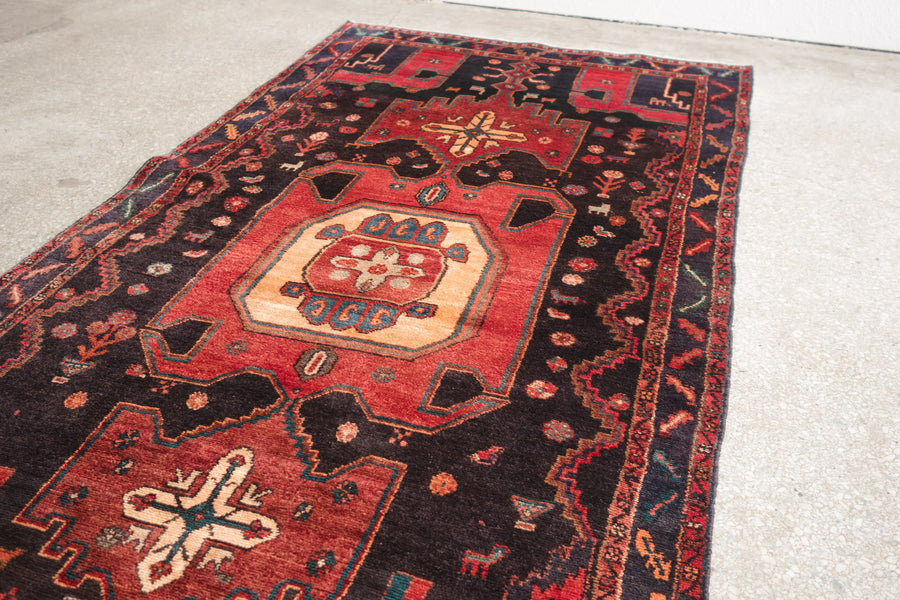 4x9 Persian Rug | MASSOUD