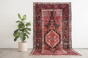 5x9.5 Persian Rug | MEHRY