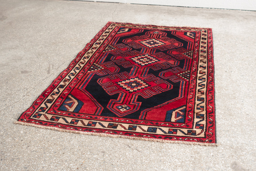 3.5x5 Persian Rug | MANEE