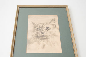 Portrait of a Cat by JK