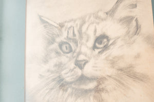Portrait of a Cat by JK