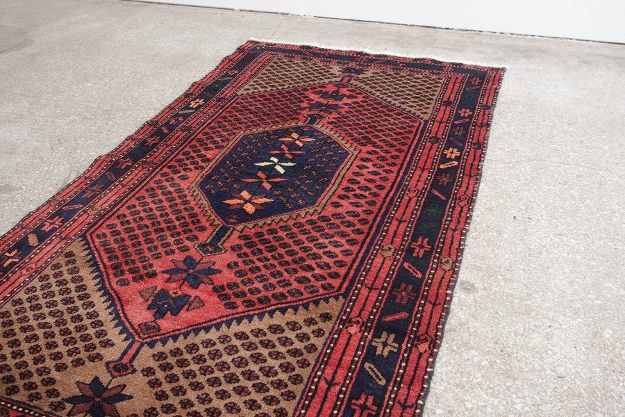 3.5x6.5 Persian Rug | NARGESS