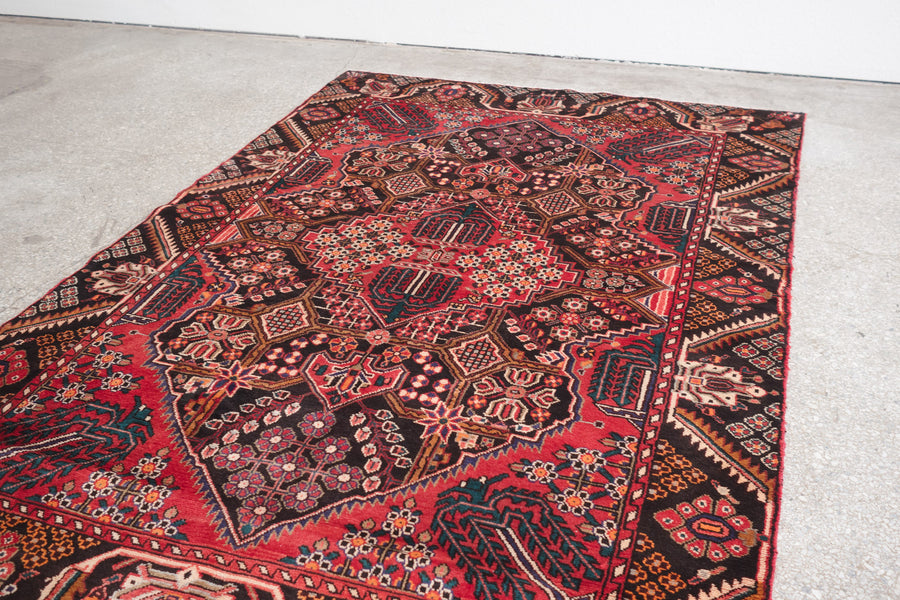 5x7.5 Persian Rug | AFSHIN