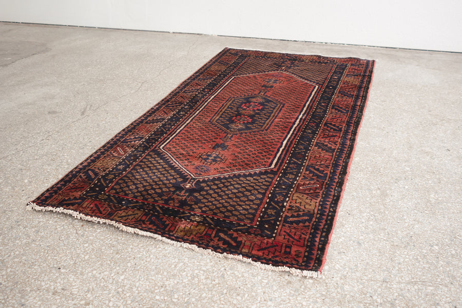 3.5x6.5 Persian Rug | ARSHAD