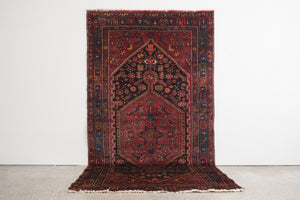 5x9.5 Persian Rug | AMID