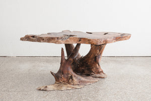 Live Edge Trunk Table