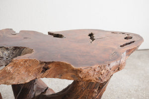 Live Edge Trunk Table