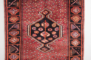 4x6.5 Persian Rug | FARHAN