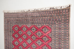 7x10 Pakistani Rug | RAJAL