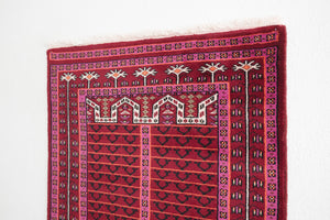 3x15 Peshawar Bokhara Rug | RAHEEL