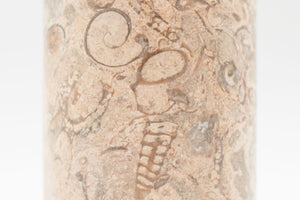 Fossilized Stone Cylinder